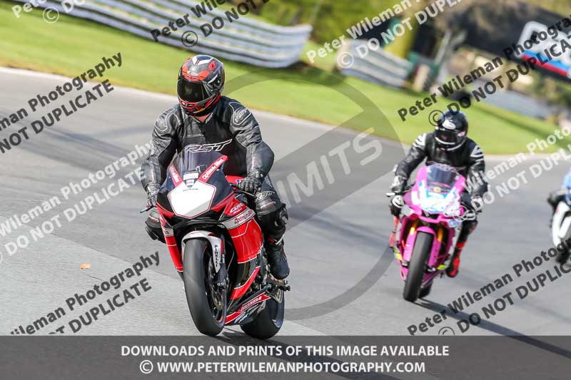 Oulton Park 21st March 2020;PJ Motorsport Photography 2020;anglesey;brands hatch;cadwell park;croft;donington park;enduro digital images;event digital images;eventdigitalimages;mallory;no limits;oulton park;peter wileman photography;racing digital images;silverstone;snetterton;trackday digital images;trackday photos;vmcc banbury run;welsh 2 day enduro